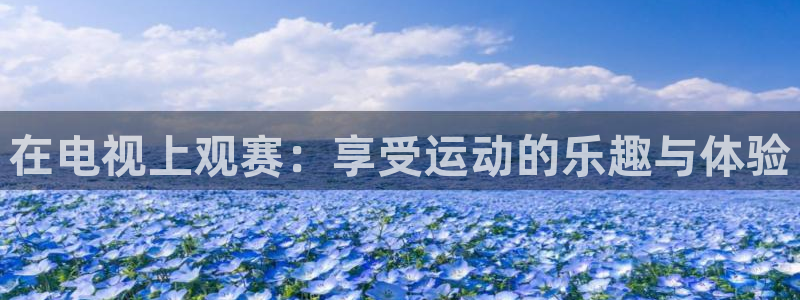 飞速体育赛事
