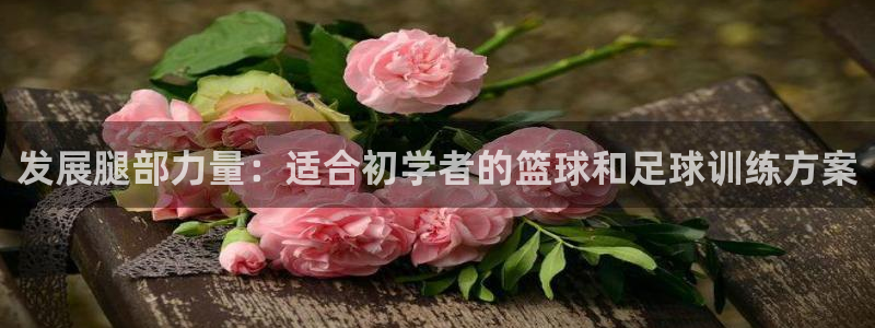 飞速体育app免费下载：发展腿部力量：适合初学者的篮球和足球训练方案