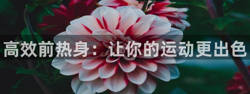 飞速体育app免费下载：高效前热身：让你的运动更出色