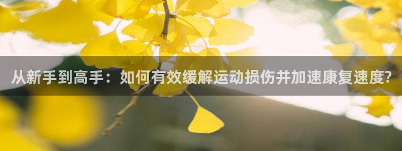 飞速体育nba回放：从新手到高手：如何有效缓解运动损伤并加速康复速度?