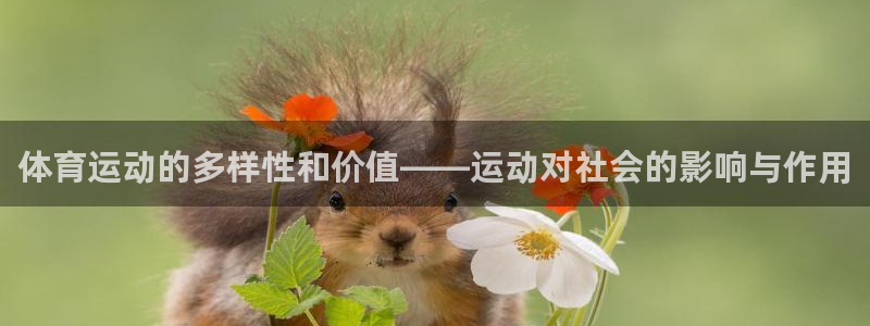 飞速体育