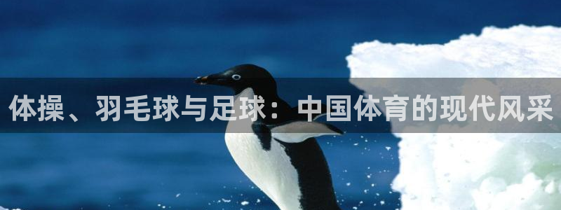 飞速体育官网