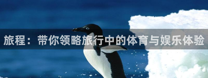 飞速体育app免费下载：旅程：带你领略旅行中的体育与娱乐体验