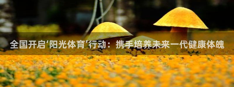 飞速体育nba回放：全国开启‘阳光体育’行动：携手培养未来一代健康体魄